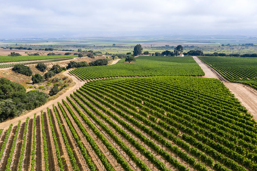 Soberanes-view