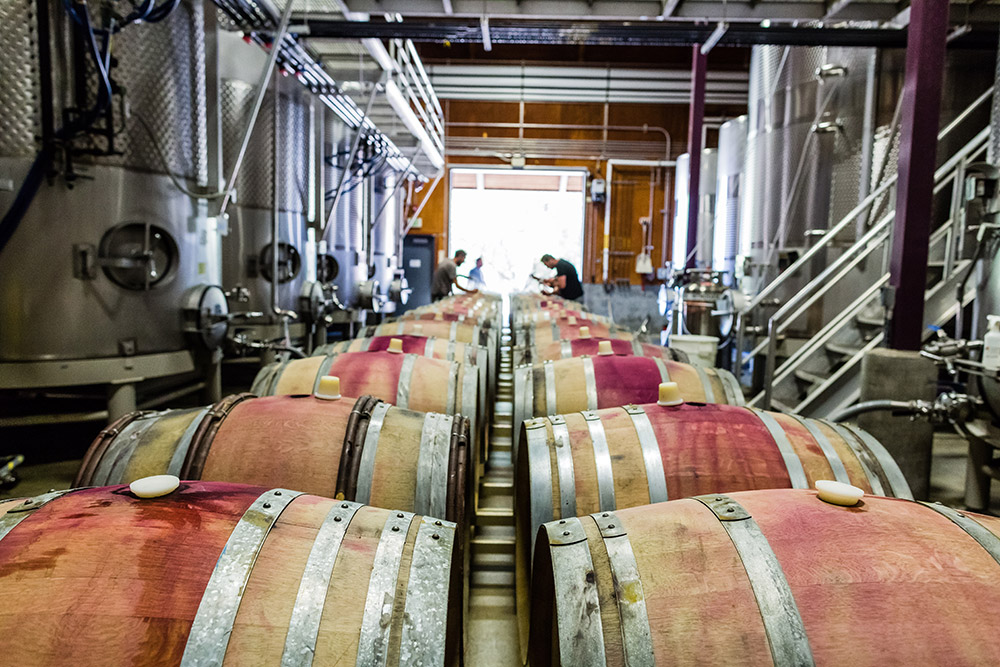 Production cellar at Twomey Healdsburg