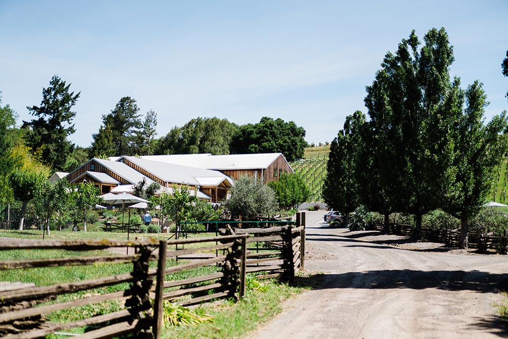 Driveway to Twomey Philo winery