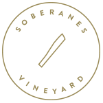 Soberanes Vineyard